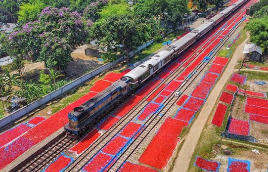 রেললাইনের ধারে ‘লালগালিচা’, দেখুন ছবিতে